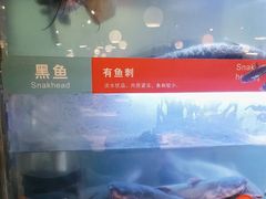 -三江源活鱼现烤(维多利摩尔城店)