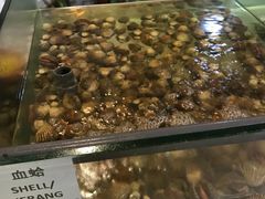 -兴旺海鲜砂煲王