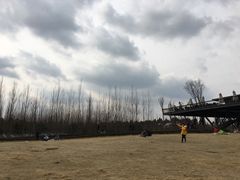 -白鹭湾湿地公园