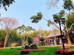 -望江楼公园