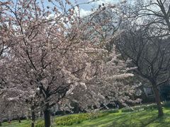 -维多利亚火车站