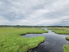 -塞罕坝国家级自然保护区