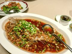 清蒸青衣鱼-皇朝会.经典传统粤菜(外滩店)