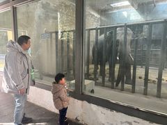 -无锡动物园·太湖欢乐园