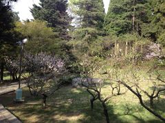 景点-庐山风景区花径公园