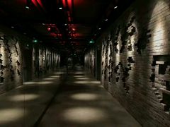 -威尔仕健身(丁香国际店)