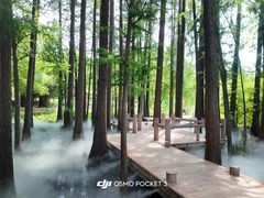 -东湖落雁景区