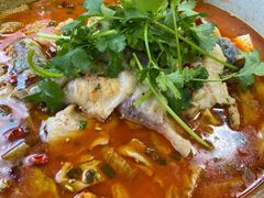 特色肥肠鱼-燕兵眉州肥肠鱼饭店