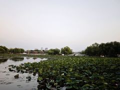 -长春市南湖公园