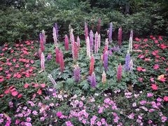 -西湖外事游船(花港观鱼码头)