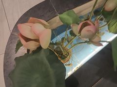 -客家班·客家菜(嘉禾金铂店)