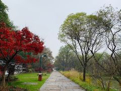 -西溪国家湿地公园