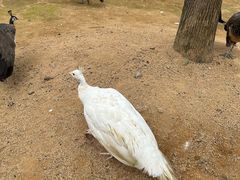 -杭州野生动物世界