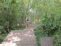 -紫金山山顶公园