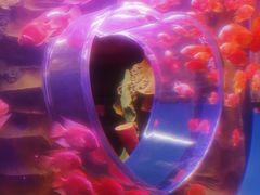 -芜湖新华联大白鲸海洋公园