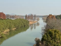 -苏州太湖国家湿地公园