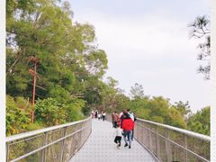 -狐尾山公园
