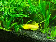 -上海海洋水族馆