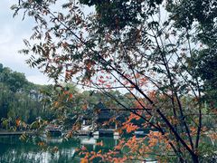 -柯岩风景区