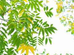 -湖南烈士公园(芙蓉区)