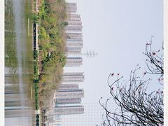 -重庆彩云湖湿地公园