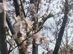 -嘉北郊野公园