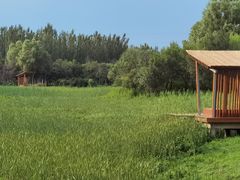 -东郊湿地公园