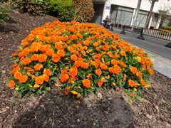 -常熟路(地铁站)