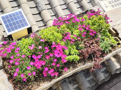 -火火咖啡&茶空间
