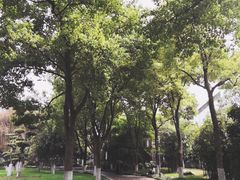 -堤角公园