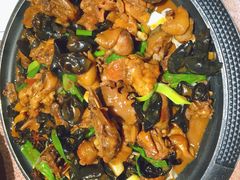 -大胡同天津菜·海肠捞饭·津门皮皮虾锅贴一绝(西姜井店)