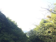 -东海大峡谷