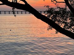 -宝安西湾红树林湿地公园