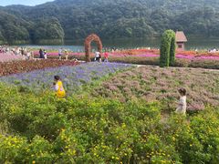 -广州市石门国家森林公园