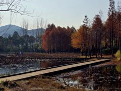-长广溪湿地公园