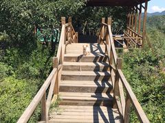 -大岭沟猕猴桃谷风景区