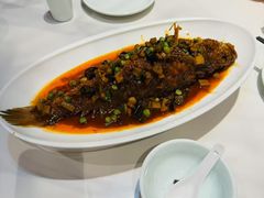 -新侨小馆(东直门北小街店)