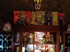-雪灵魔法世界SHELLY’S TAROT(大良桂畔里店)
