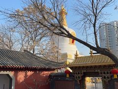 -护国法轮寺