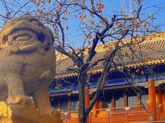-北京石刻艺术博物馆(五塔寺)