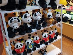 -绵阳南郊机场