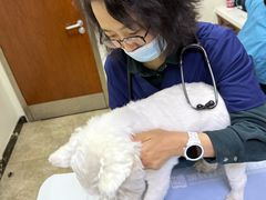 -美联众合动物医院·24h转诊中心