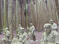 -武陵山森林公园