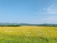 -贡格尔草原