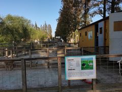 -前小桔亲子创意农场·草莓采摘·露营烧烤