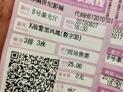 -金棕榈新百世纪影城