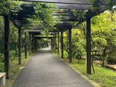 -九龙潭景区