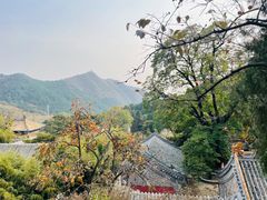 -潭柘寺景区