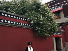-塔尔寺