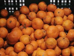 -肥朵食堂(带梦胡同店)